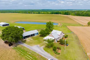 24795A County Road 32, Elberta, AL 36530 - Photo 59