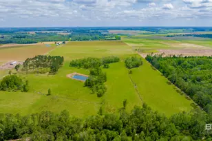 24795A County Road 32, Elberta, AL 36530 - Photo 81