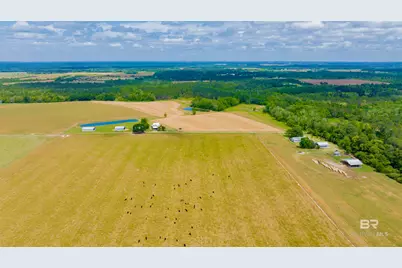 24795A County Road 32, Elberta, AL 36530 - Photo 75
