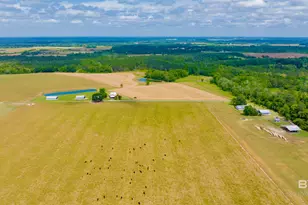 24795A County Road 32, Elberta, AL 36530 - Photo 75