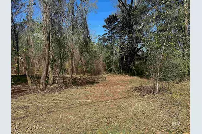 00 Boykin Boulevard, Lillian, AL 36549 - Photo 5