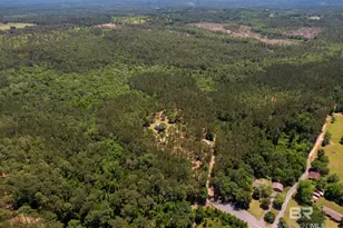 11400 Quinley Rd, Bay Minette, AL 36507 - Photo 63