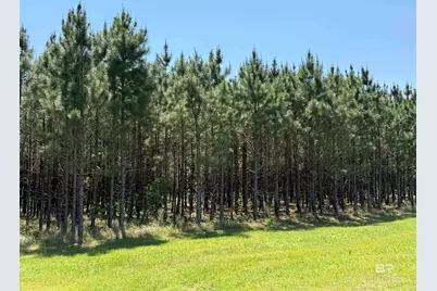 Oo County Road 87, Elberta, AL 36530 - Photo 13