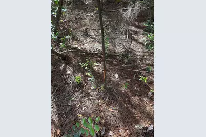 Oo County Road 87, Elberta, AL 36530 - Photo 55