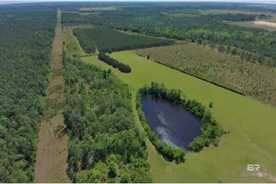 Oo County Road 87, Elberta, AL 36530 - Photo 3