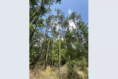 Oo County Road 87, Elberta, AL 36530 - Photo 65