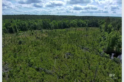 Oo County Road 87, Elberta, AL 36530 - Photo 33