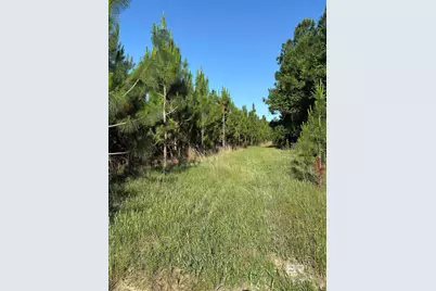 Oo County Road 87, Elberta, AL 36530 - Photo 49
