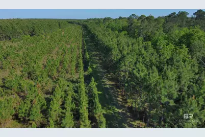 Oo County Road 87, Elberta, AL 36530 - Photo 19
