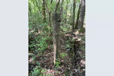 Oo County Road 87, Elberta, AL 36530 - Photo 51