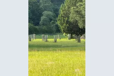 Oo County Road 87, Elberta, AL 36530 - Photo 29