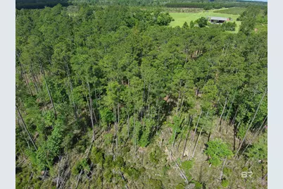 Oo County Road 87, Elberta, AL 36530 - Photo 31