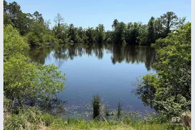 Oo County Road 87, Elberta, AL 36530 - Photo 21