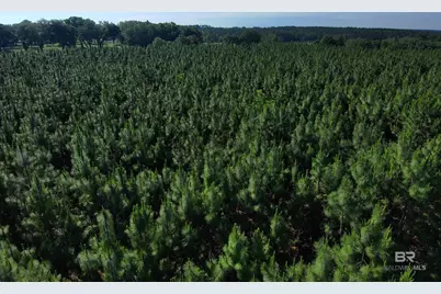 Oo County Road 87, Elberta, AL 36530 - Photo 45