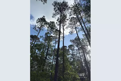 Oo County Road 87, Elberta, AL 36530 - Photo 35