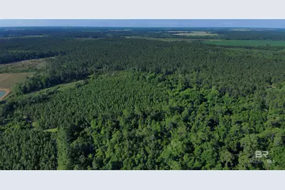 Oo County Road 87, Elberta, AL 36530 - Photo 43