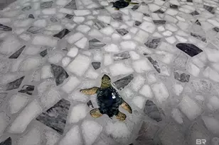 1052 Orlando Dr, Foley, AL 36535 - Photo 29