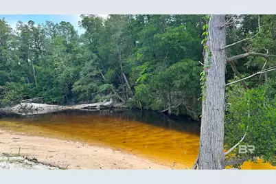 24781 New Horizons Trail, Robertsdale, AL 36567 - Photo 3