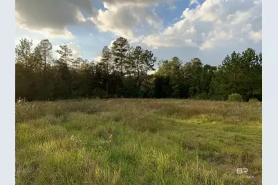 0 Highway 43, Creola, AL 36525 - Photo 5