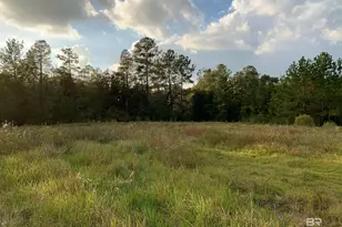 0 Hwy 43, Creola, AL 36525 - Photo 5