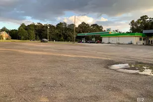 0 Hwy 43, Creola, AL 36525 - Photo 7