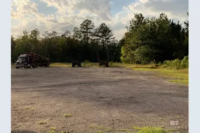 0 Highway 43, Creola, AL 36525 - Photo 1