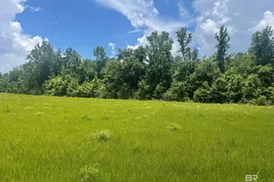 15660 Louis Cooper Rd, Bay Minette, AL 36507 - Photo 1