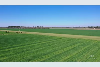 Lot 14 Davis Pond Road, Atmore, AL 36502 - Photo 7