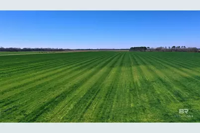 Lot 14 Davis Pond Road, Atmore, AL 36502 - Photo 5