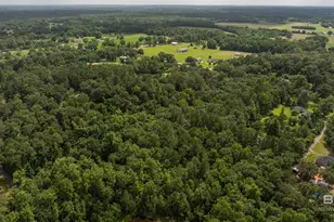 0 W W A Hobbs Rd, Bay Minette, AL 36507 - Photo 1