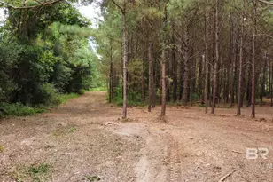 0 James Rd, Foley, AL 36535 - Photo 1