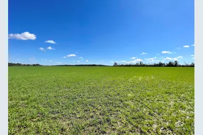 0 Pastoral Lane, Elberta, AL 36530 - Photo 35