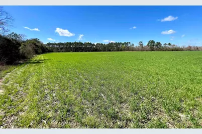 0 Pastoral Lane, Elberta, AL 36530 - Photo 9