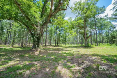 0 Hurricane Road, Bay Minette, AL 36507 - Photo 7