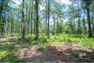 0 Hurricane Road, Bay Minette, AL 36507 - Photo 3