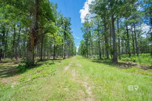 0 County Road 86, Bay Minette, AL 36507 - Photo 1