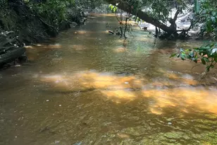 21305 River Rd, Robertsdale, AL 36567 - Photo 21