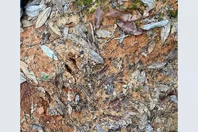 21305 River Road, Robertsdale, AL 36567 - Photo 17