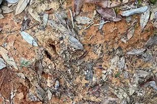 21305 River Rd, Robertsdale, AL 36567 - Photo 17