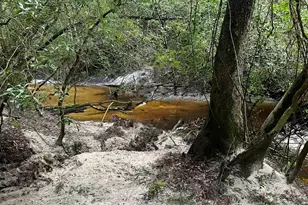 21305 River Rd, Robertsdale, AL 36567 - Photo 45