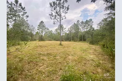 21305 River Road, Robertsdale, AL 36567 - Photo 19