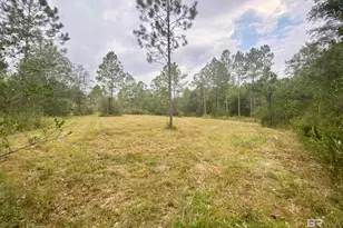 21305 River Rd, Robertsdale, AL 36567 - Photo 19