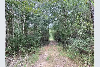 21305 River Road, Robertsdale, AL 36567 - Photo 15