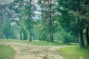 21305 River Rd, Robertsdale, AL 36567 - Photo 39