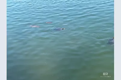 28170 Migratory Way, Elberta, AL 36530 - Photo 15