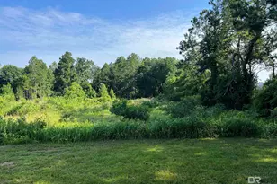 0 Robinson Ln, Gulf Shores, AL 36542 - Photo 1