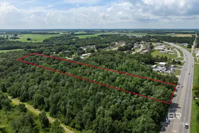 0 State Highway 59, Foley, AL 36535 - Photo 5