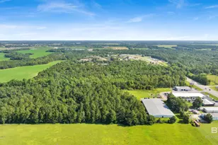 14965 State Hwy 59, Foley, AL 36535 - Photo 7