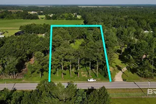 17239 Co Rd 87, Elberta, AL 36530 - Photo 1