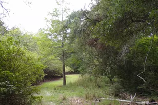 22963 Hwy 98, Foley, AL 36535 - Photo 23